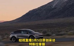 特斯拉司机持刀伤人事件系谣言，男子被警方拘留