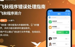 飞秋程序运行错误排查指南