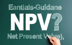 在财务分析中，如何精确计算项目的净现值（NPV）并避免常见错误？