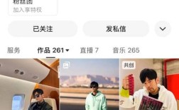 抖音24小时点赞下单平台，ks粉丝业务专区