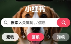 小红书宠物信息搜索指南