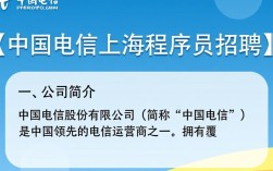 中国电信上海程序员招聘，这样的岗位要求有哪些？薪资待遇如何？