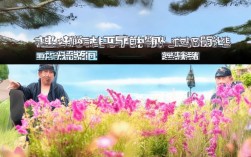 aecc粒子特效报错为何频繁出现？解析解决方法与预防策略