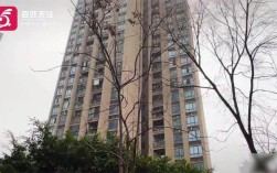 重庆姐弟坠亡房屋法拍撤回事件再起波澜