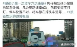 游客自驾撞死6匹马事件，交警权威回应