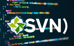 在SVN中查看版本号，有哪些实用的命令或方法？
