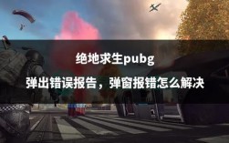 pub报错是什么意思？如何解决？