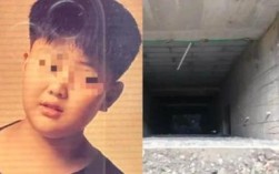 西安11岁男孩捉迷藏不幸坠井离世，悲剧引发社会关注