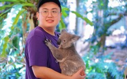 Koala报错，如何有效解决并避免此类错误？