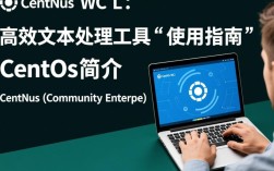 CentOS系统中使用wc命令时，如何正确统计文件字数？