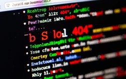BS系统404错误处理指南