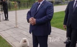 卢卡申科互动市民，宠物狗成焦点