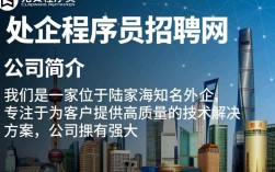 陆家嘴外企程序员招聘网如何筛选合适人才，外企招聘有何独特标准？