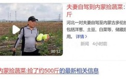 内蒙自驾捡菜记，夫妻俩收获满满500斤