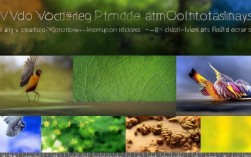 如何制作精良的动植物视频，动植物视频剪辑技巧详解