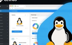 CentOS网络设置界面配置指南