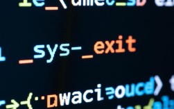 探究为什么使用 _sys_exit 会引发错误