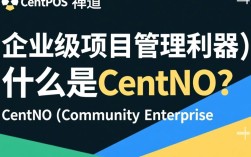 CentOS 禅道系统配置过程中遇到哪些常见问题及解决方法？