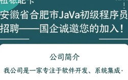 安徽省合肥市国企招聘初级Java程序员，有哪些疑问和条件需要了解？
