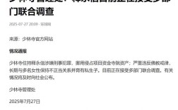 少林寺释永信涉嫌资产挪用侵占事件