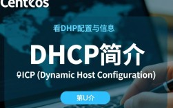 CentOS系统下如何查看DHCP服务配置详情？