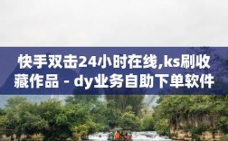 dy业务自助下单软件，这款软件如何助力dy业务高效运营？