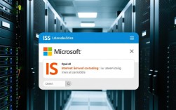 高效解决IIS报错难题攻略