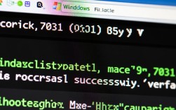 神秘7031报错揭秘，破解原因与应对攻略