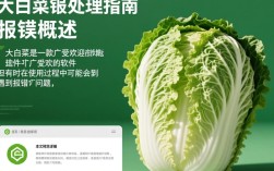 大白菜软件运行错误排查指南