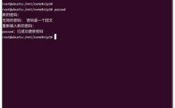 CentOS系统下root账号切换指南