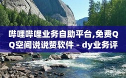 Dy24小时自助服务平台，真的能满足你全天候的需求吗？