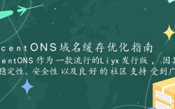CentOS域名缓存设置为何如此关键？解决常见问题指南！