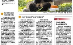假扮熊猫粉夫妻敛财造谣案终审获刑