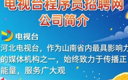 河北电视台程序员招聘网，最新职位信息有哪些？待遇如何？