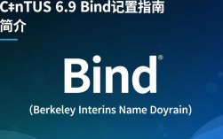 CentOS 6.9下bind配置遇到问题？如何优化和解决？