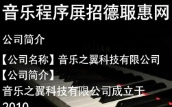 纯音乐程序员招聘，这神秘的职业组合背后有何机遇与挑战？