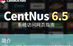 CentOS 6.5系统访问网页配置指南