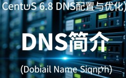 CentOS 6.8 DNS配置过程中遇到问题，如何排查和解决？