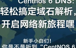 在 CentOS 6 系统中轻松配置 DNS 服务教程
