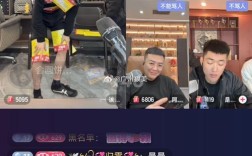 全天候ks直播人气与dy赞下单平台一览