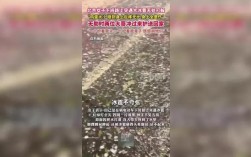 英勇大哥挺身而出，冰雹中守护妹妹安全