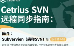 CentOS下SVN远程同步配置指南