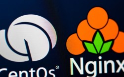 CentOS系统下彻底卸载Nginx教程