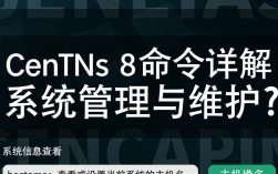 Centos8命令中，如何高效执行常用操作与故障排查？