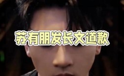 苏有朋就卖艺不卖身言论公开道歉