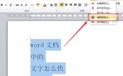 如何在Word中实现文本和图片的精准对齐？