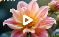 短视频剪辑教程，轻松制作开花效果视频