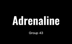 Adrenaline 报错，该如何解决？