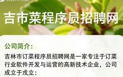 吉林市程序员招聘，订菜平台程序员职位，你准备好了吗？