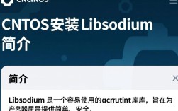 CentOS安装libsodium过程中遇到了哪些常见问题及解决方法？